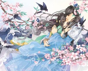老狼ak永久回家网站
